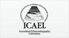 A black and white logo for the icael